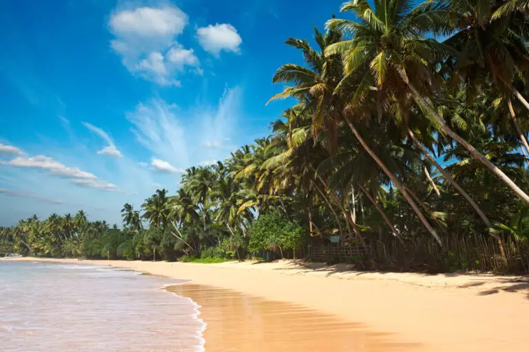 From Riga / Tallinn to Sri Lanka with Turkish Airlines for €503 / €511 + 15 nights hotel for €187 p.p.