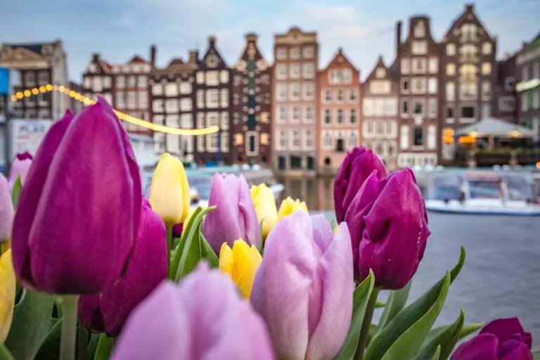 8 Top things to do and see in Amsterdam
