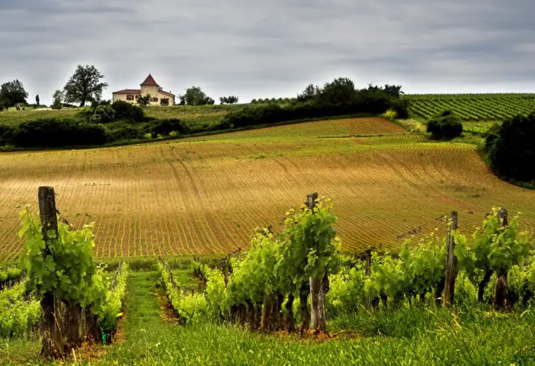 Vilnius to Bordeaux from €115 (Sept-Oct, Apr-May)