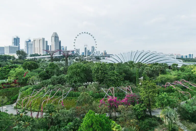 From Tallinn/Riga/Vilnius to Singapore with Air France from €493